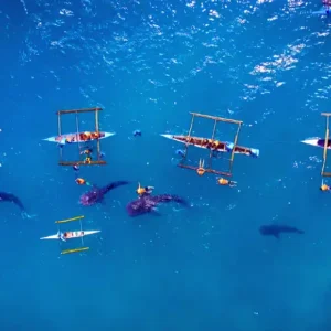 OSLOB WHALE SHARK / BADIAN CANYONEERING